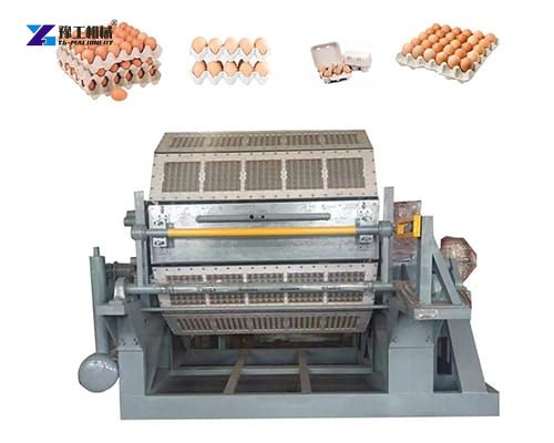 egg carton making machine for sale
